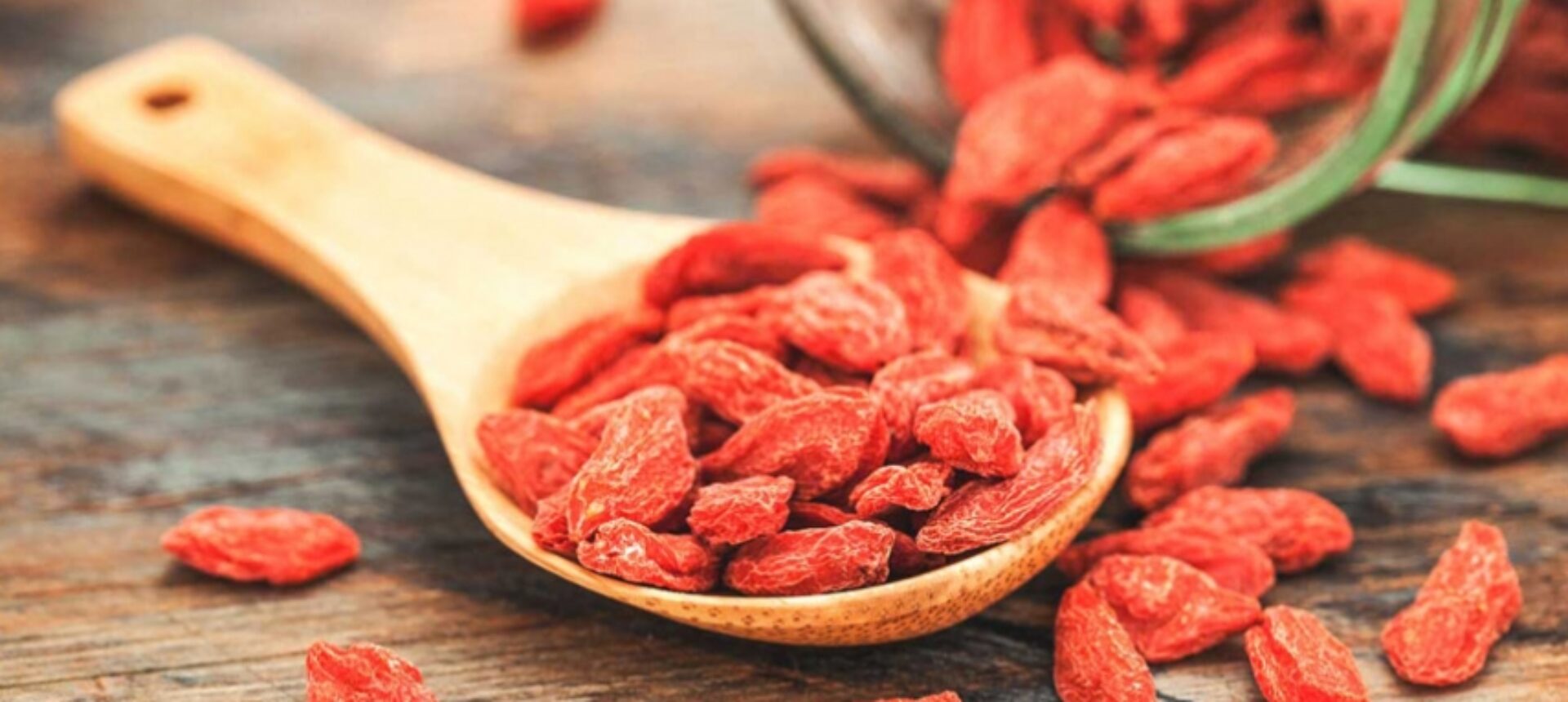 Goji Berry Health Properties and Benefits Review